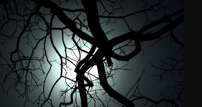 Aman dari Siksa Kubur, Apa Maksudnya?