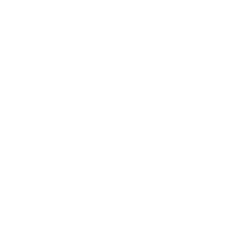 quran online